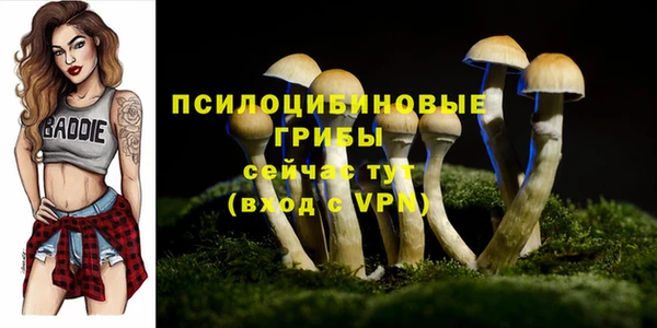 MDMA Premium VHQ Волоколамск